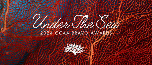 2024 BRAVO Awards Nominations