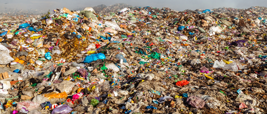 Let's Talk Trash & Recycling