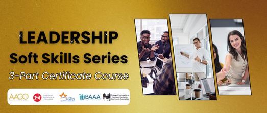 Leadership Soft Skills Series (3-part certificate)