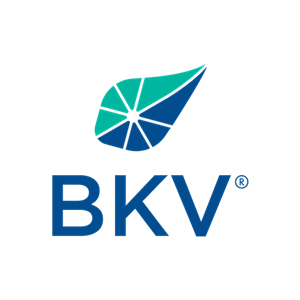 BKV-BPP Power, LLC