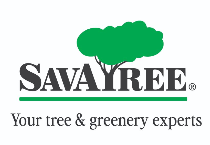 SavATree