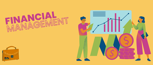 The Briefcase Series: Financial Management