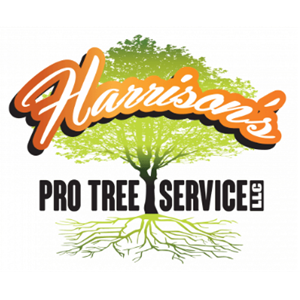 Photo of Harrison's Pro Tree Service