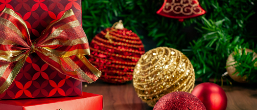 Member Holiday Social