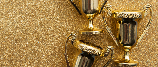 2026 Starlight Awards  - Celebrating the achievements of 2025