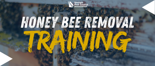 Honey Bee Removal- Training