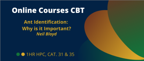 CBT 2025 Ant Identification: Why is it important?