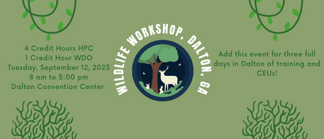 Wildlife Workshop in Dalton