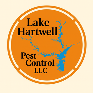 Photo of Tim Woodall