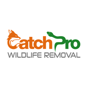 Photo of CatchPro Wildlife Removal