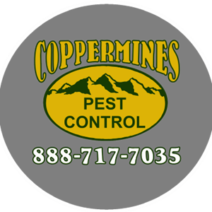 Photo of Coppermines Pest Control-Dahlonega