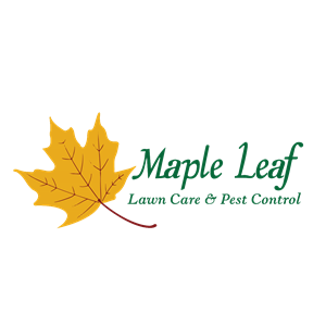 Photo of Maple Leaf Lawn Pest and Termite