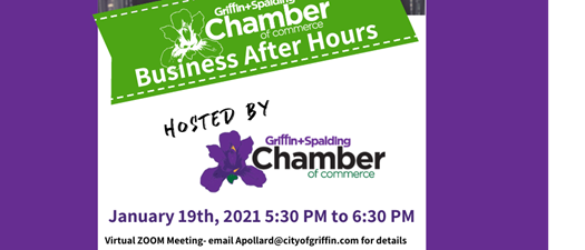 Business After Hours - Zoom