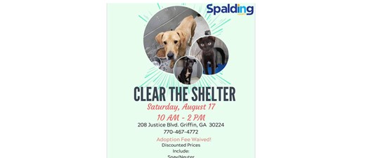 Clear the Shelter