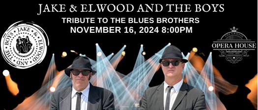 Jake and Elwood and The Boys at the OH