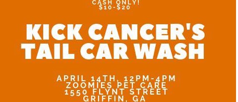 Kick Cancer's Tail Car Wash