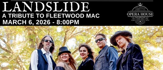 Landslide - A Tribute to Fleetwood Mac