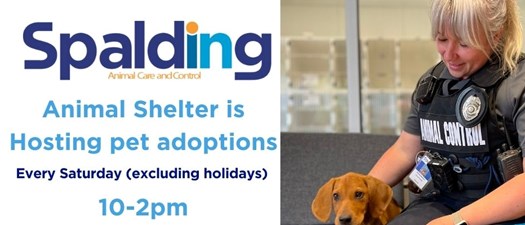 Pet Adoption