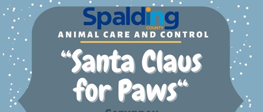 Santa Claus for Paws