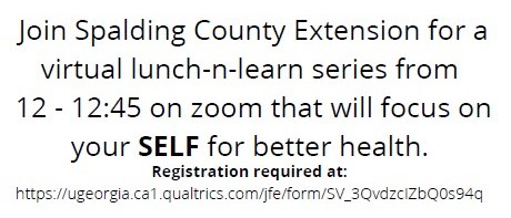 Spalding County Extension Lunch-n-Learn