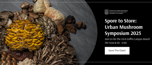 Spore to Store: Urban Mushroom Symposium 2025