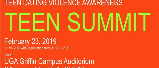 3rd Annual Teen Dating Violence Awareness Summit