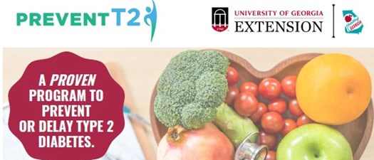 UGA Spalding County Extension Prevent T2 Program