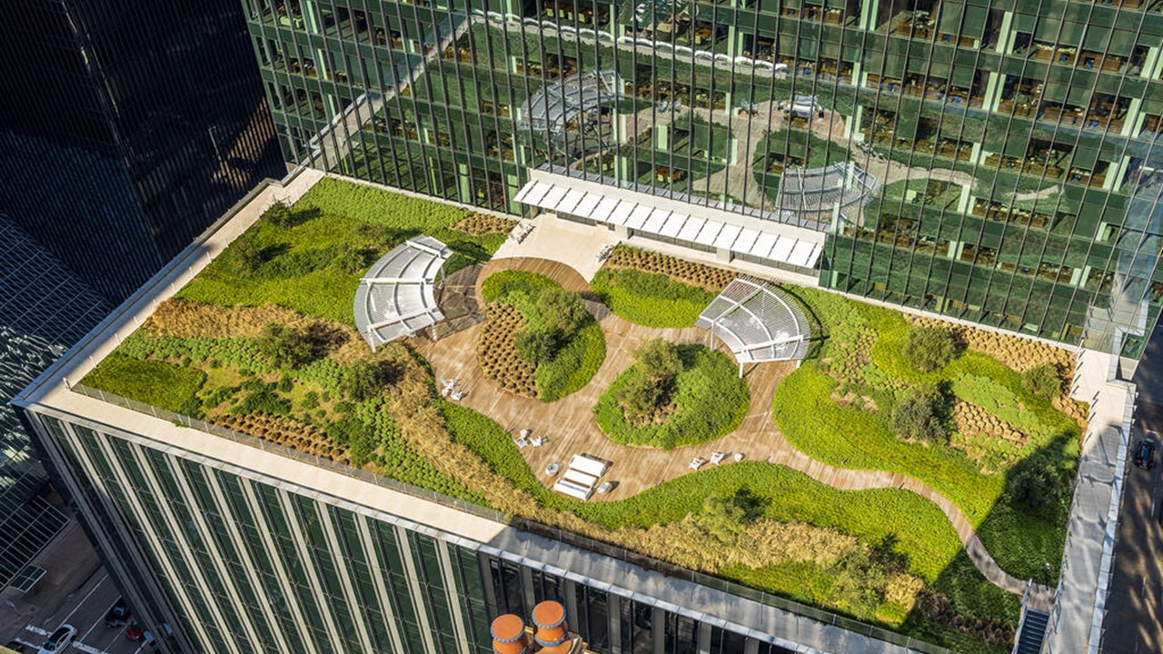 Green Roofs