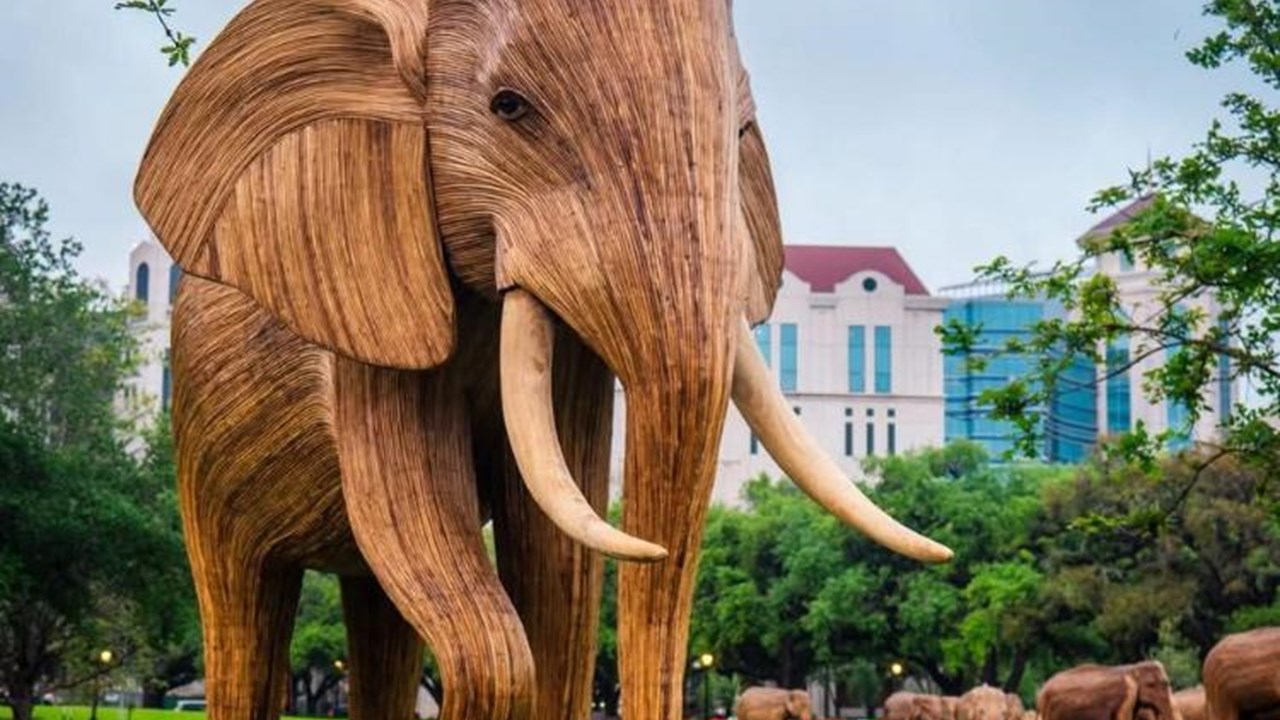 Beautiful Final Display