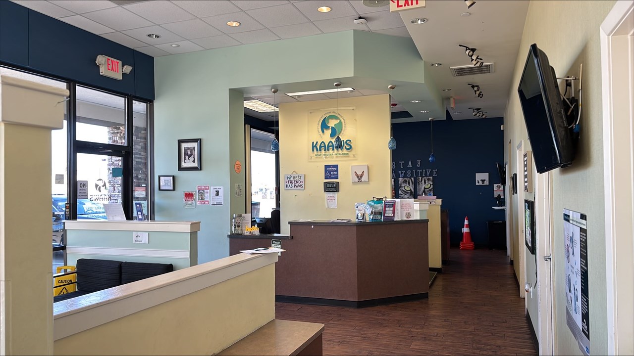 Before at KAAWS Animal Clinic