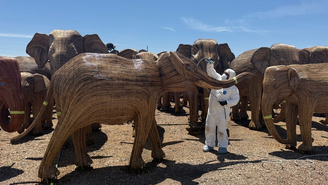 Spraying clear coat for Elephant USA 