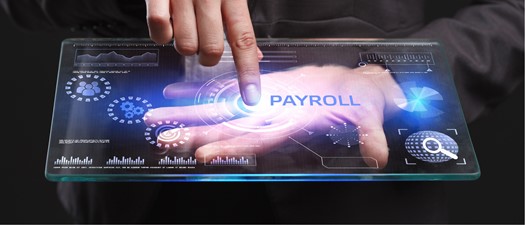 Employer & Earnings Record Workgroup