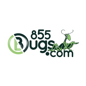 Photo of 855Bugs.com