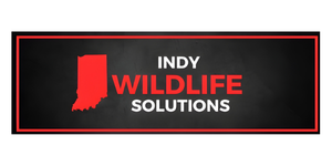 Indy Wildlife Solutions Logo