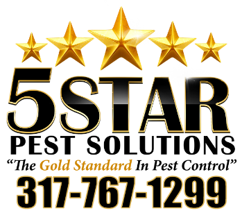 A black background with gold stars and numbersDescription automatically generated