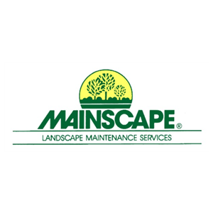 Photo of Mainscape