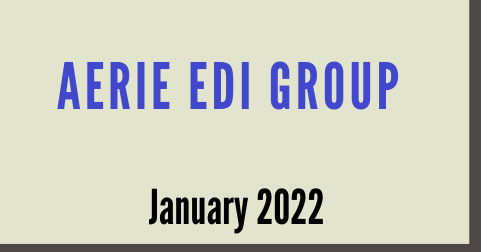 Aerie EDI Group 2022