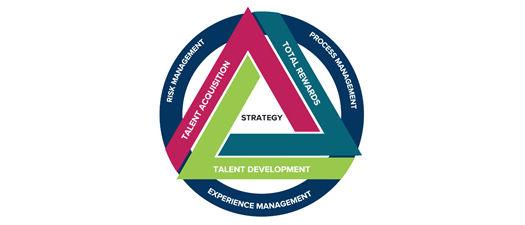 pHCLE Blended Cohort - November 2026