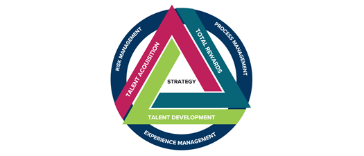 pHCLE Blended Cohort - November 2025
