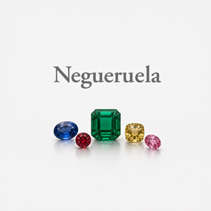 Photo of Antonio Negueruela SA