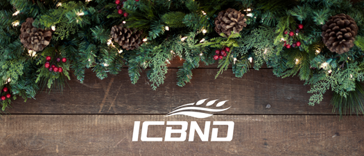 2026 ICBND Christmas Party