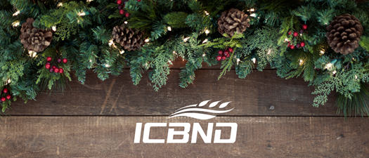 2025 ICBND Christmas Party