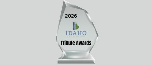 2026 Tribute Awards Nominations