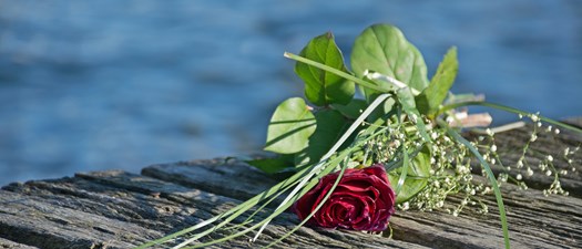 Green Burial: A Funeral Director's and Celebrant's Guide 