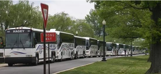 buses waiting to enter national park