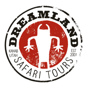 Photo of Dreamland Safari Tours