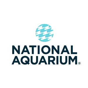 Photo of National Aquarium