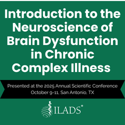 Introduction to the Neuroscience of Brain Dysfunction in Chronic Complex Illness