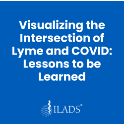 Visualizing the Intersection of Lyme and COVID- Lessons to be Learned