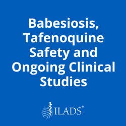 Babesiosis, Tafenoquine Safety and Ongoing Clinical Studies